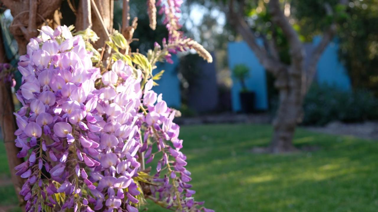 Loddon River Motel Kerang エクステリア 写真